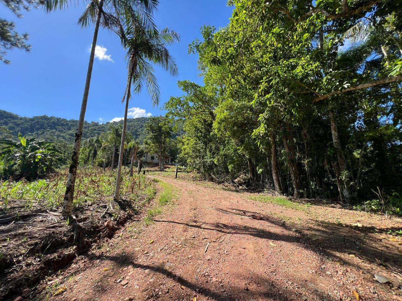 Chácara à venda no Itapocu: 