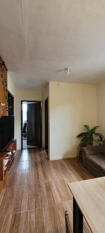 Apartamento para aluguel no Rio Da Luz: 