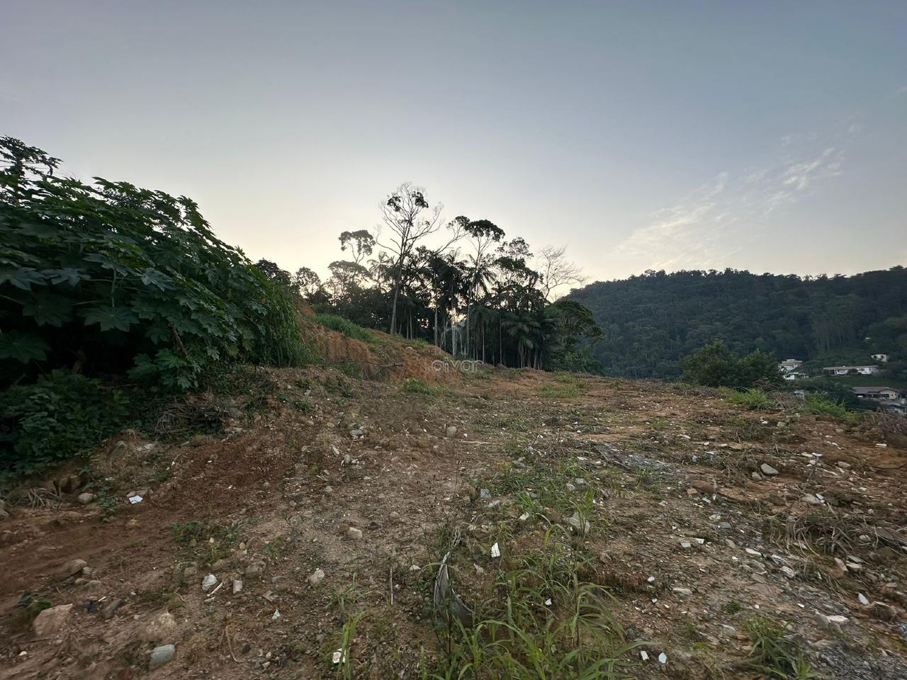 Terreno à venda no Chico de Paulo: 
