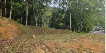 Terreno à venda no Barra do Rio Cerro: 