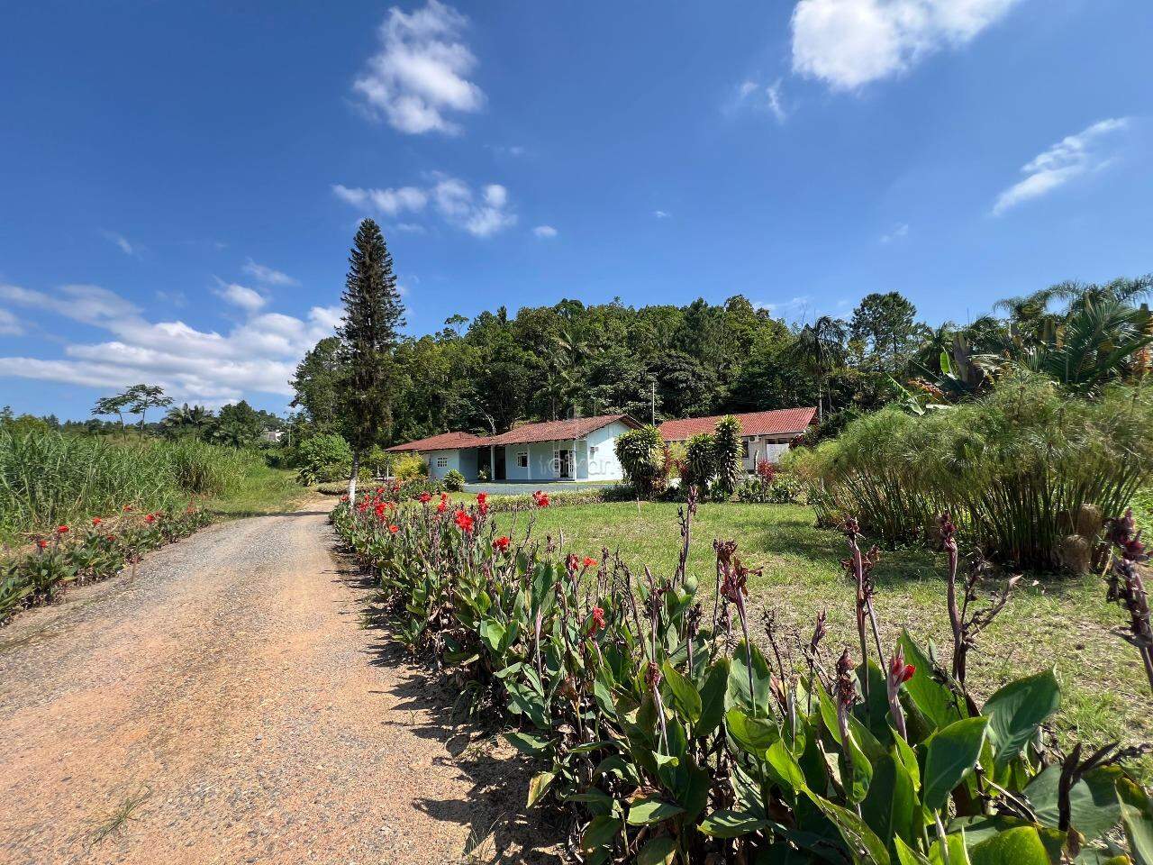 Casa à venda no Chico de Paulo: 