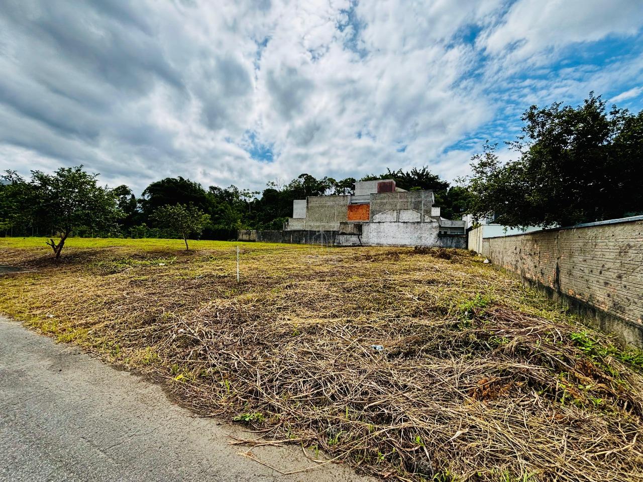 Terreno à venda no Amizade: 