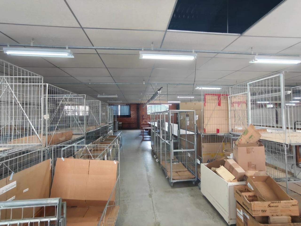 Galpão para aluguel no Rio Da Luz: 