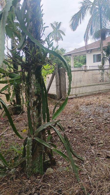 Casa à venda no Santa Luzia: 