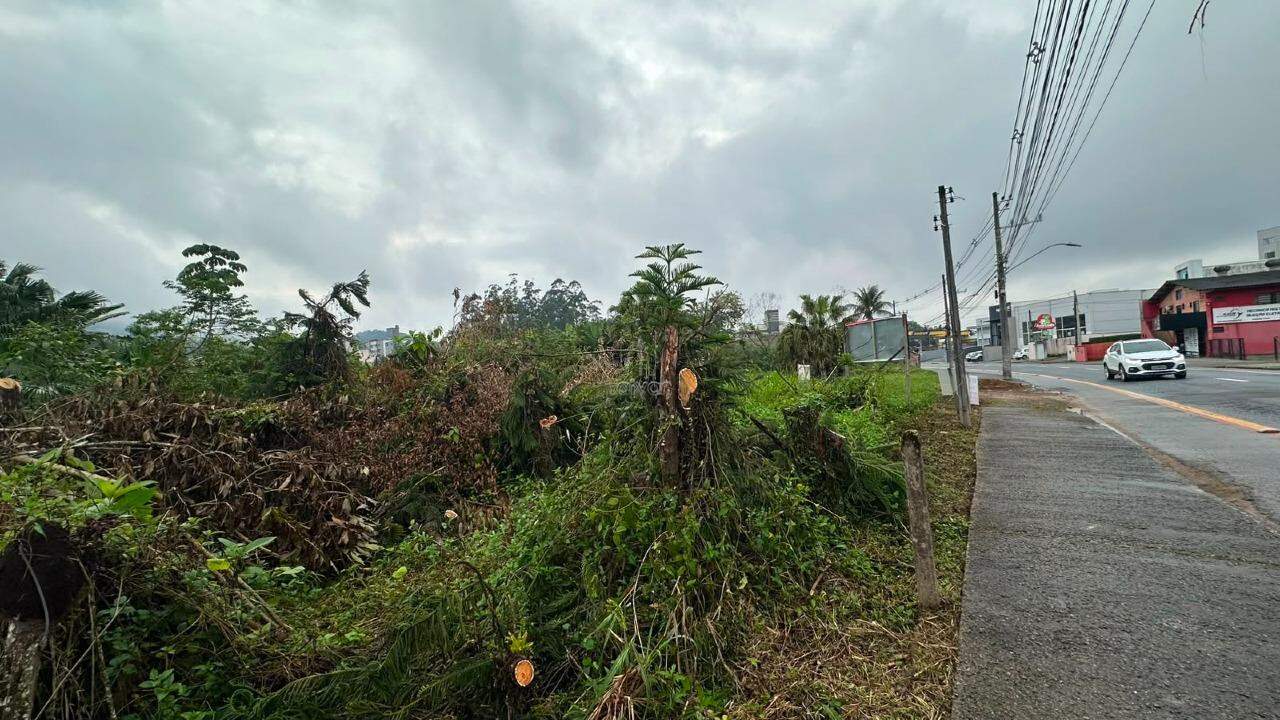 Terreno à venda no Amizade: 