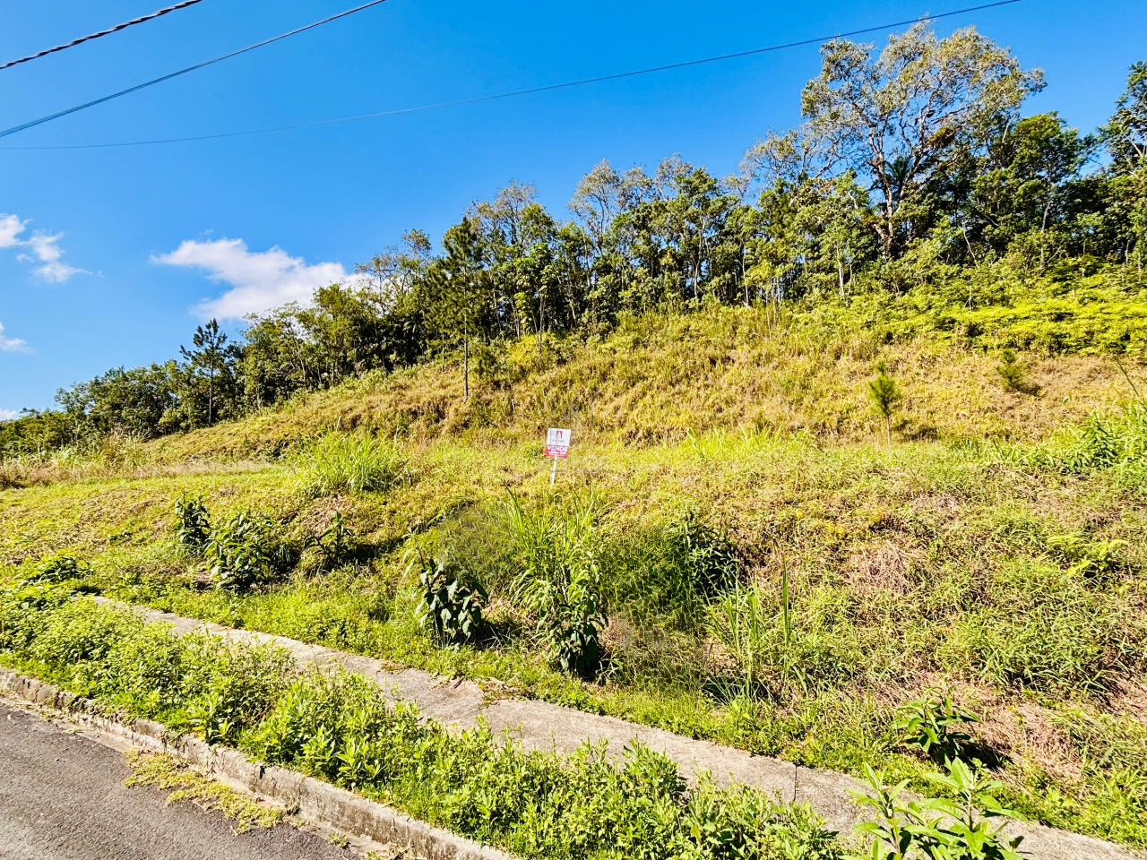 Terreno à venda no Amizade: 