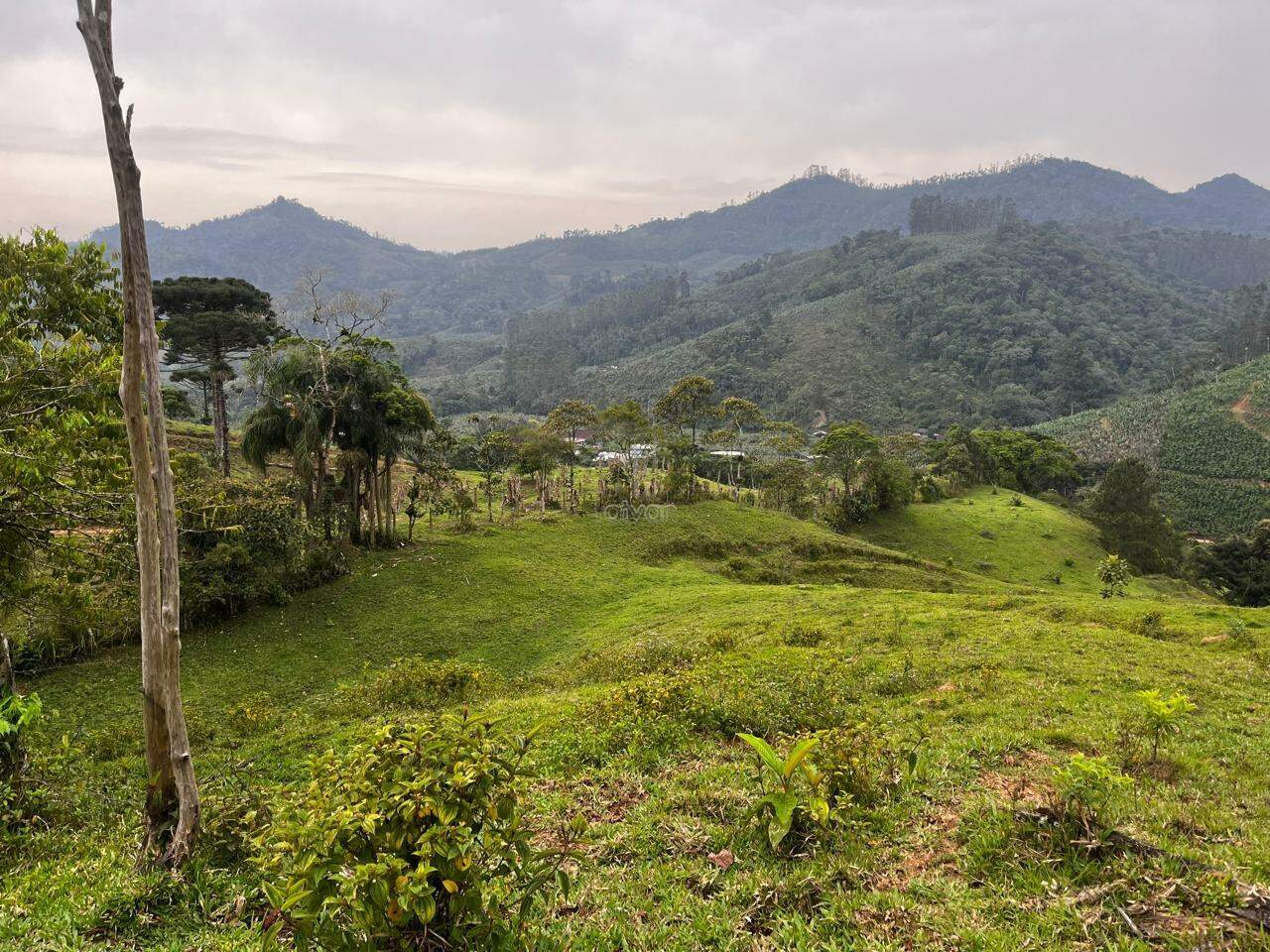 Chácara à venda no Pedra de Amolar: 