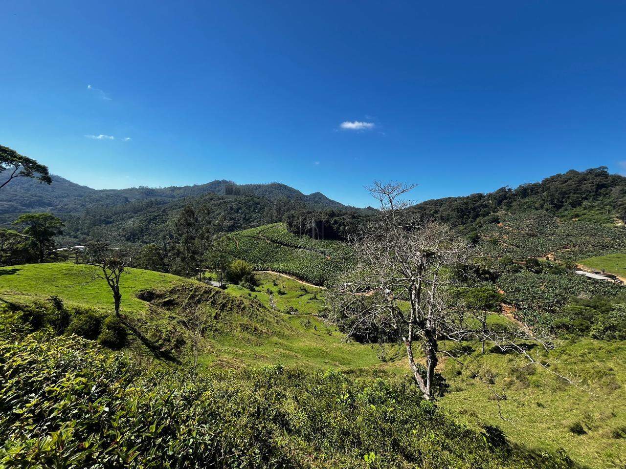 Chácara à venda no Pedra de Amolar: 