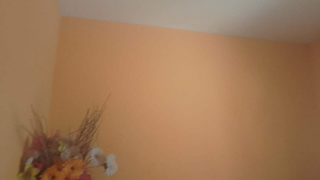 Casa, 3 quartos, 250 m² - Foto 20