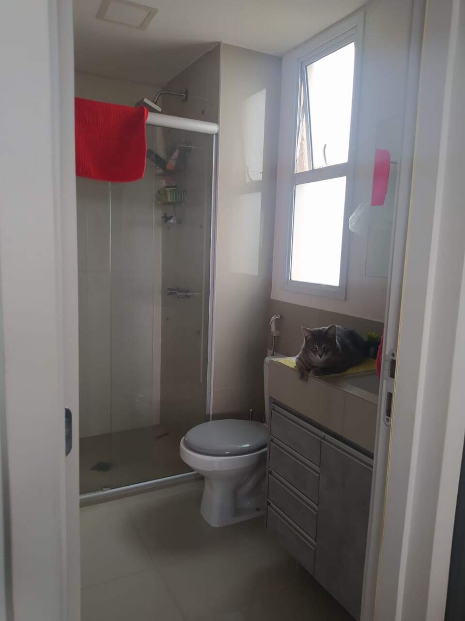 Apartamento, 3 quartos, 94 m² - Foto 22