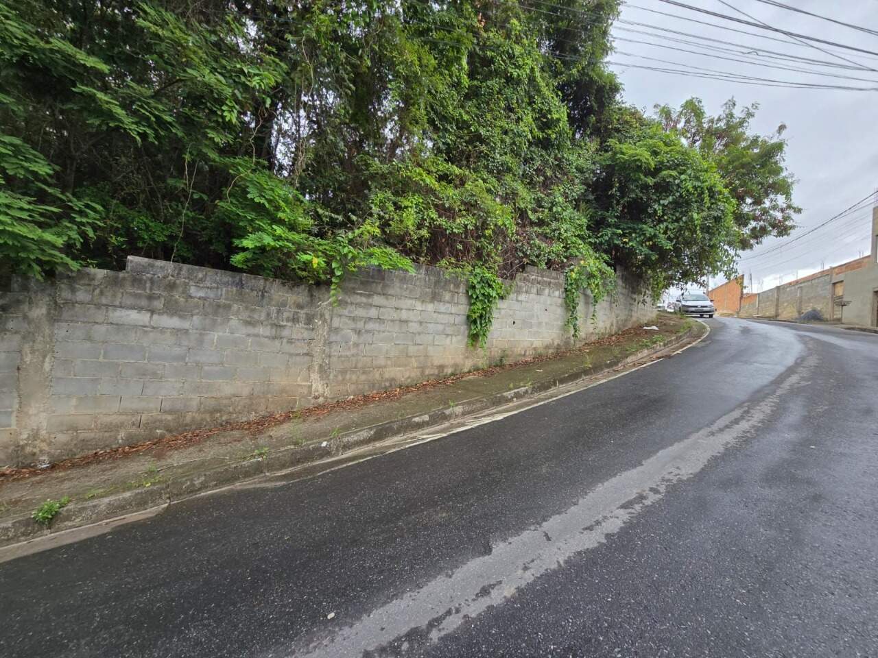 Terreno, 2000 m² - Foto 2