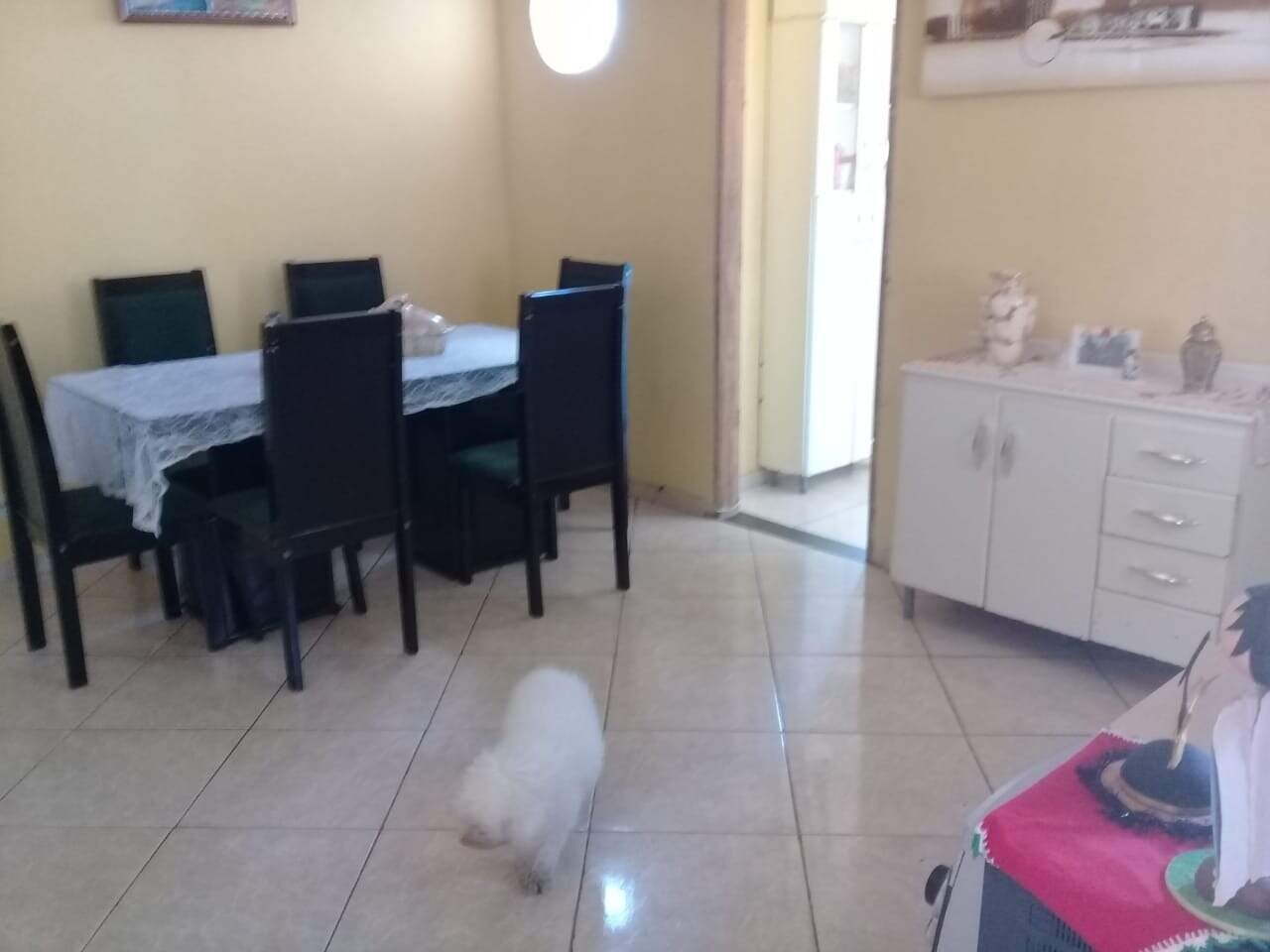 Casa, 6 quartos, 300 m² - Foto 1