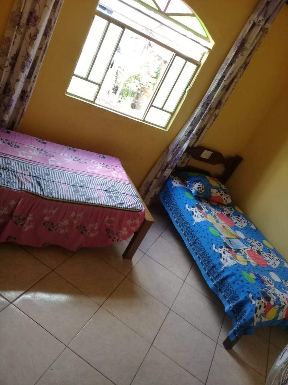 Casa, 6 quartos, 300 m² - Foto 25