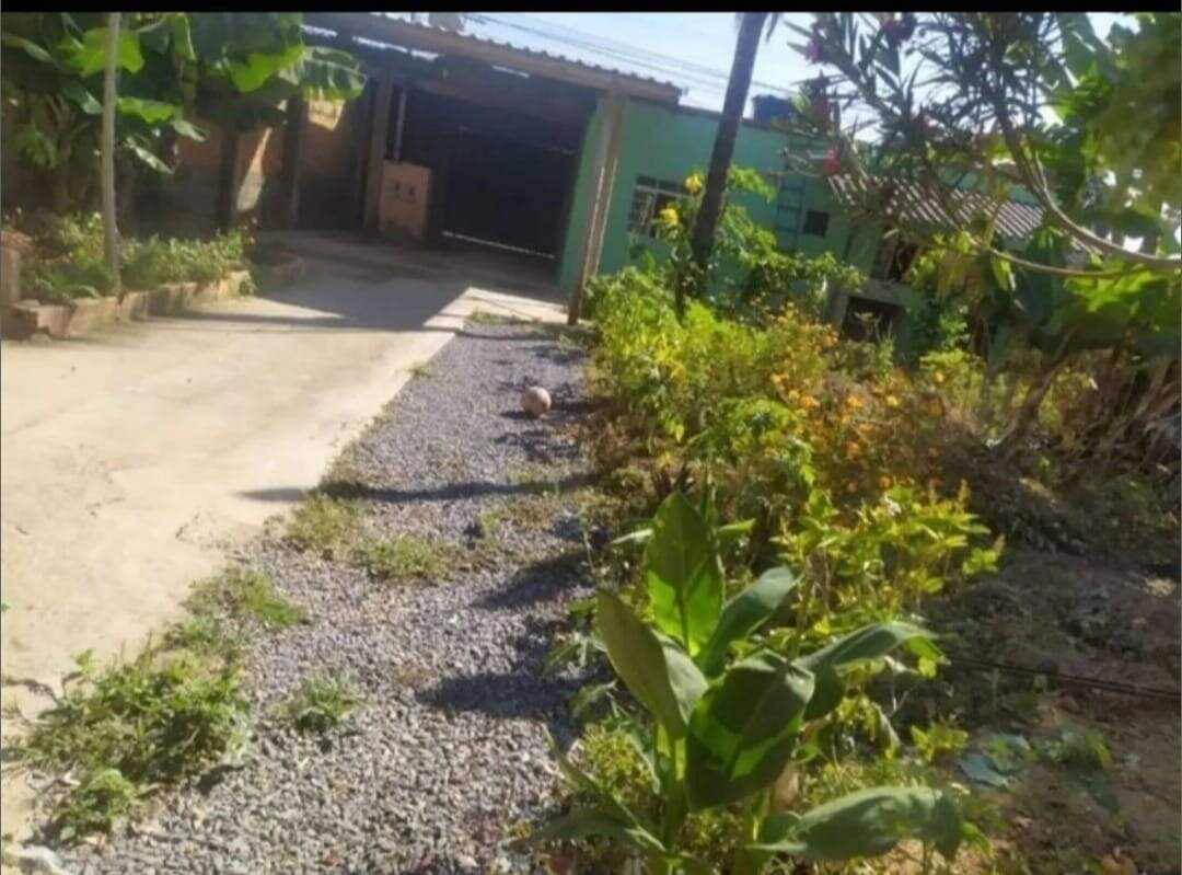 Casa, 4 quartos, 533 m² - Foto 6
