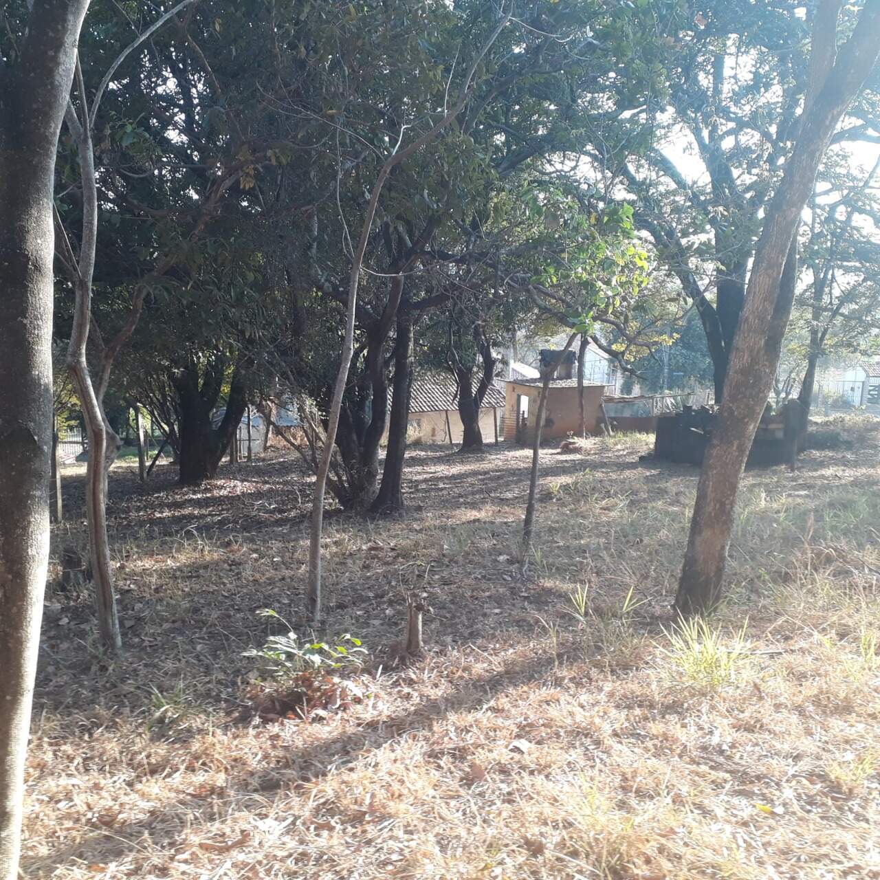 Casa, 2 quartos, 1000 m² - Foto 3