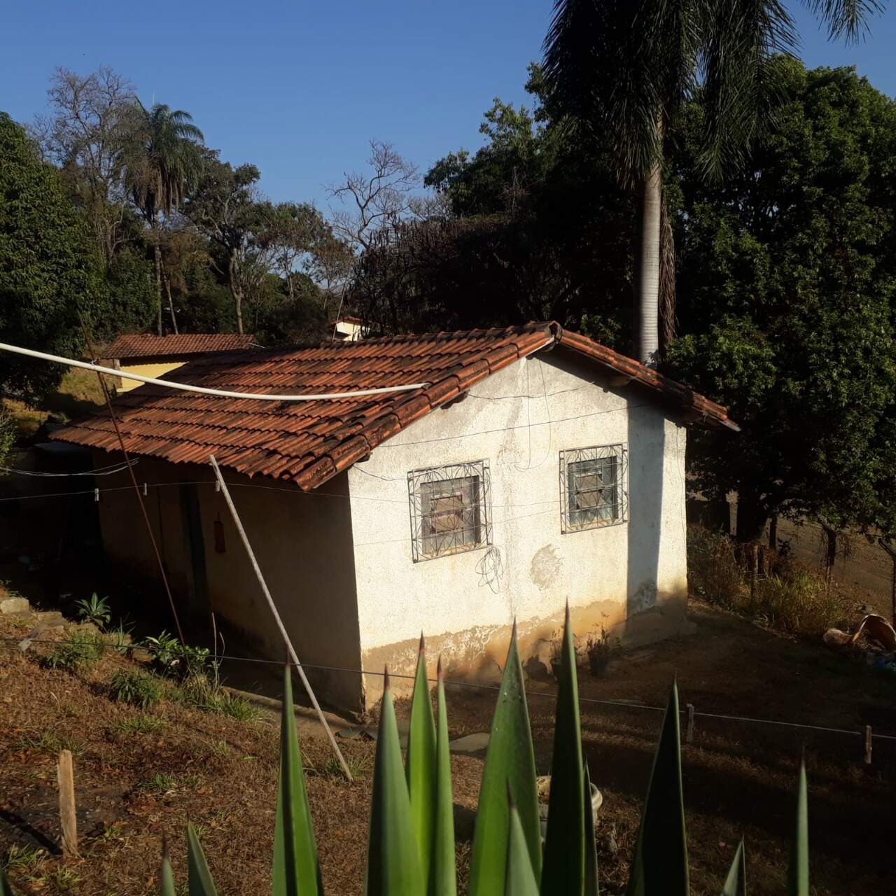 Casa, 2 quartos, 1000 m² - Foto 4