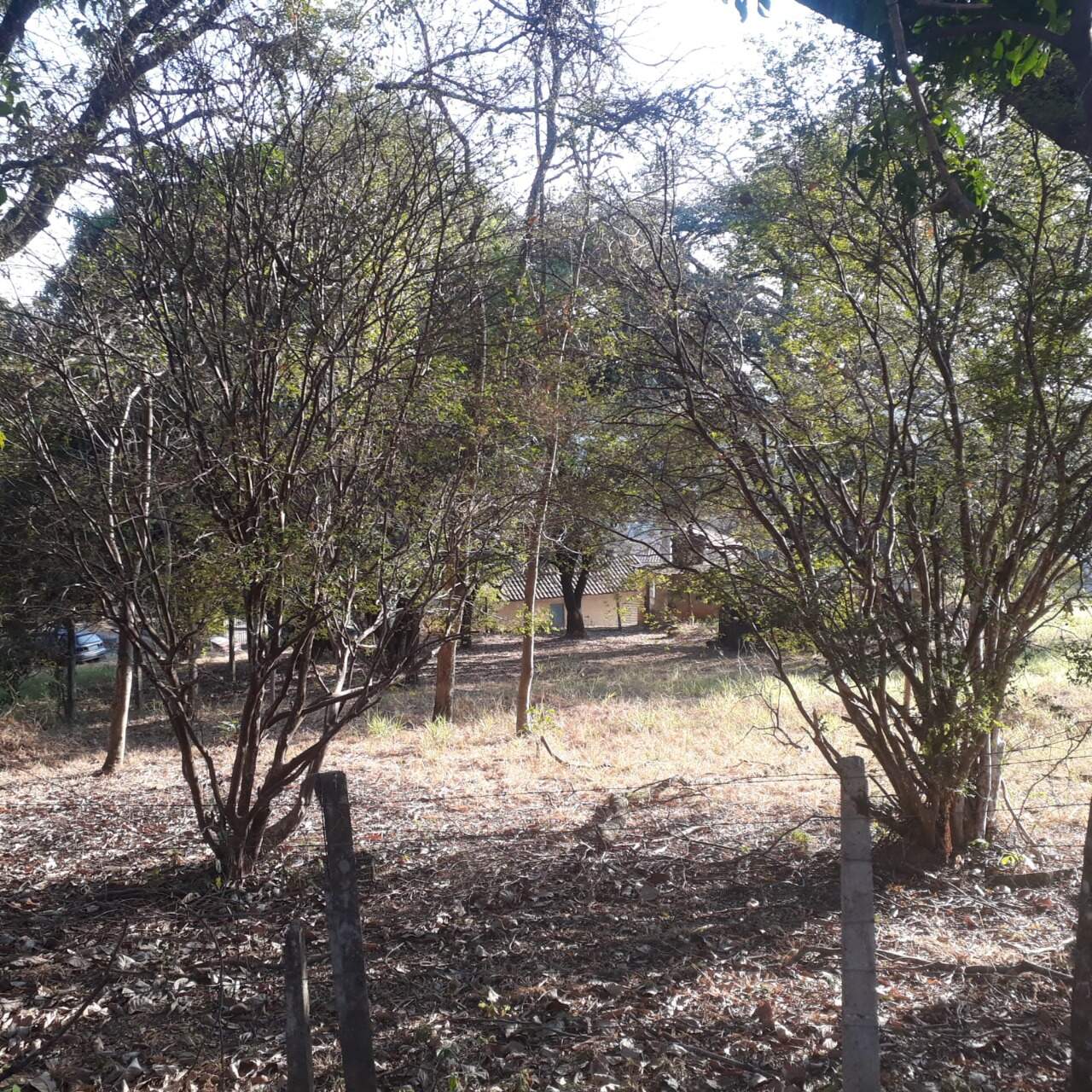 Casa, 2 quartos, 1000 m² - Foto 6