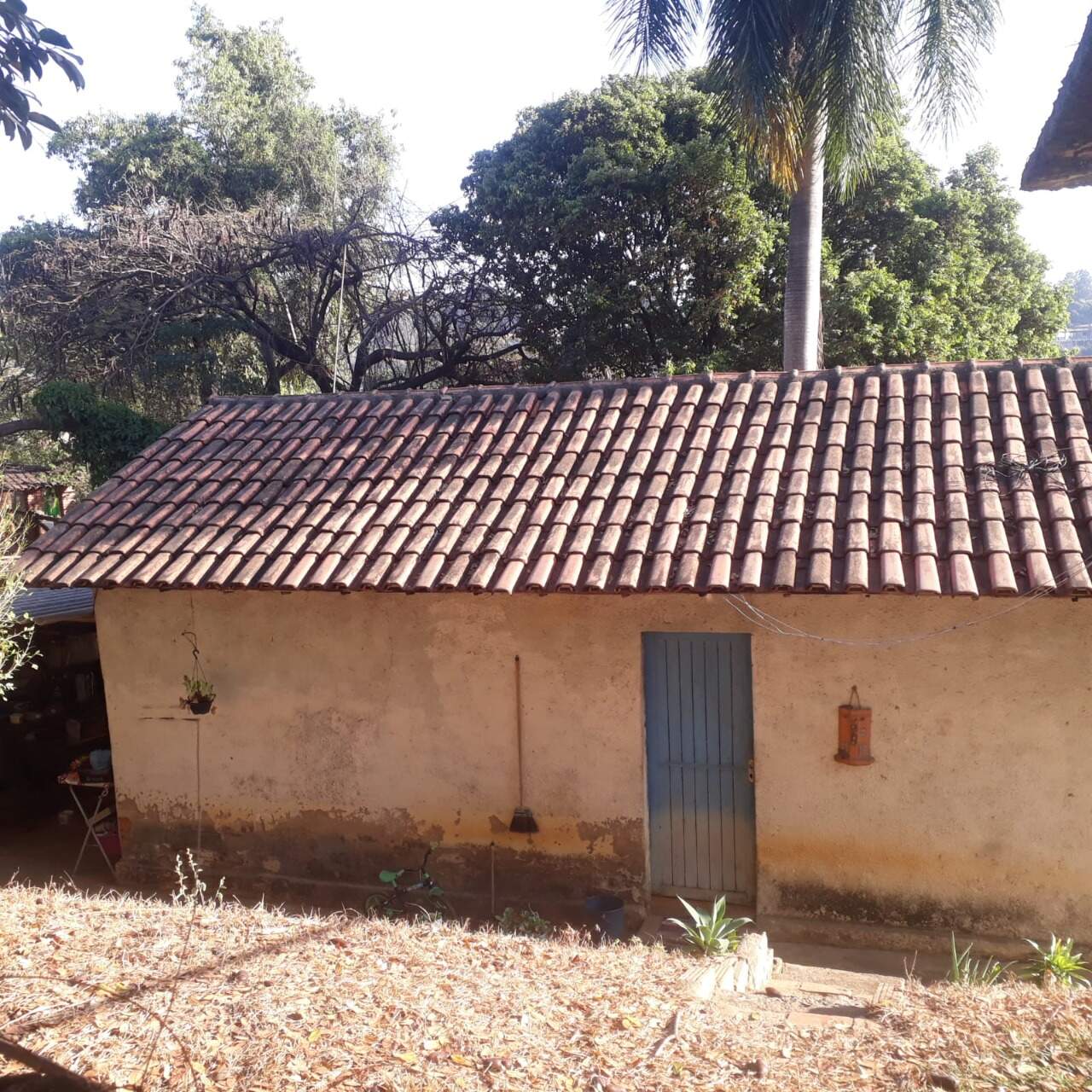 Casa, 2 quartos, 1000 m² - Foto 7