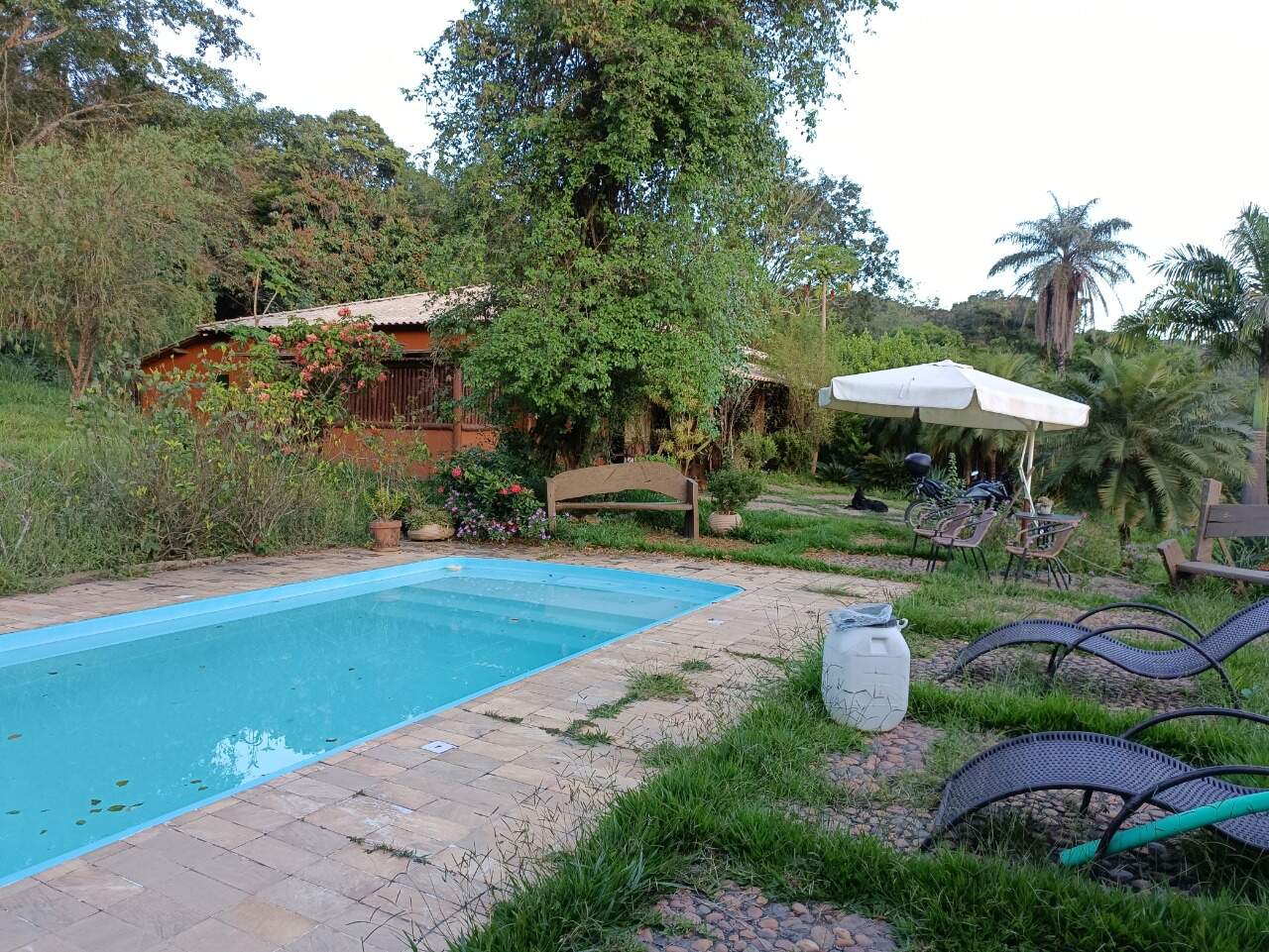 Sítio, 4 quartos, 9000 m² - Foto 19