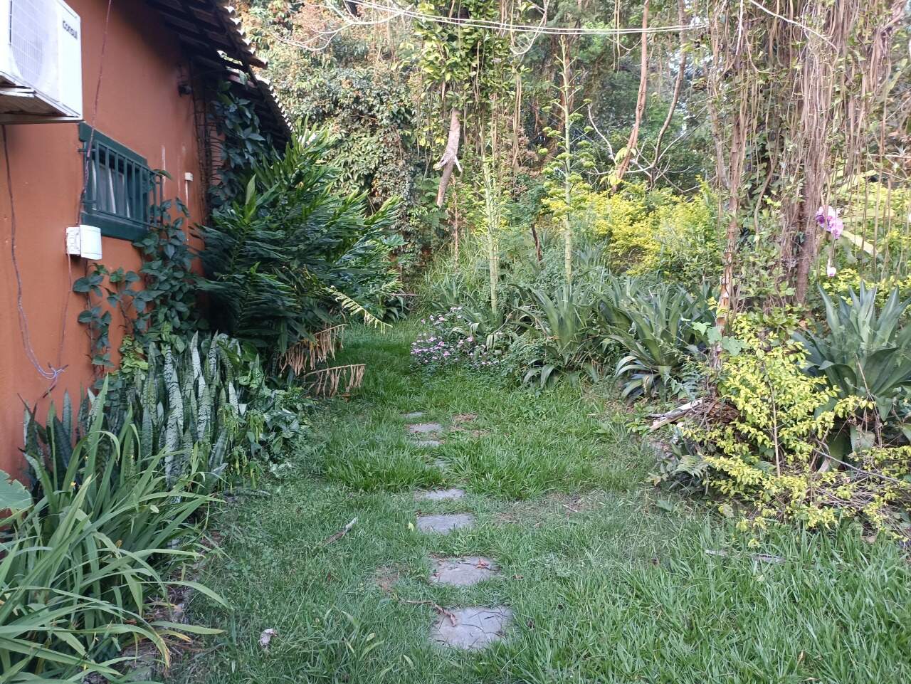 Sítio, 4 quartos, 9000 m² - Foto 27