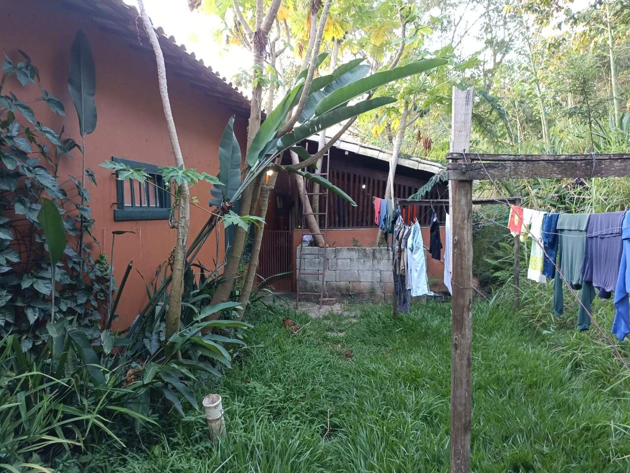 Sítio, 4 quartos, 9000 m² - Foto 29