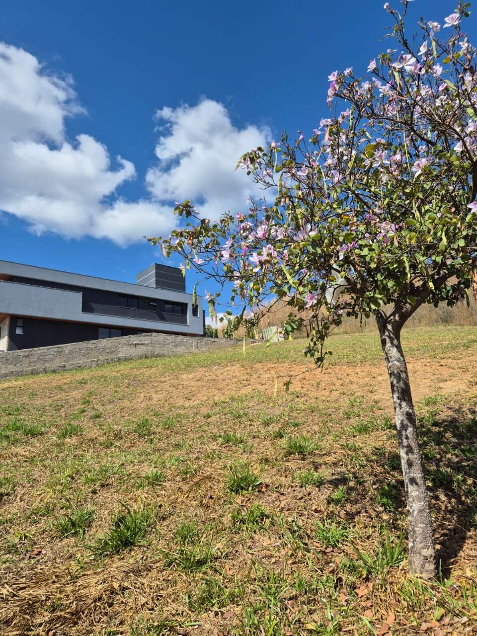 Terreno, 562 m² - Foto 3