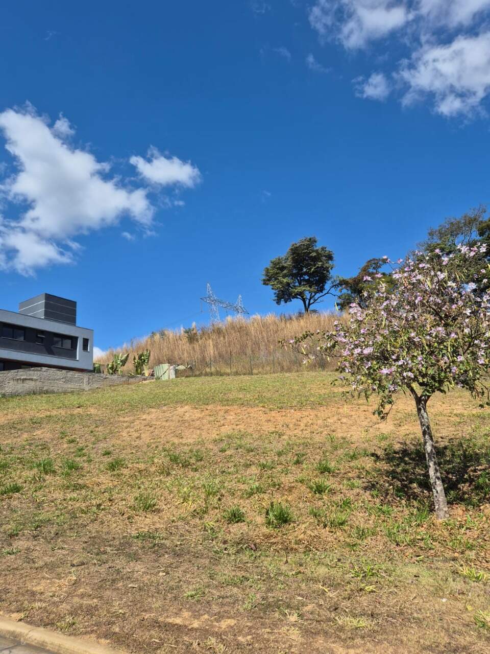 Terreno, 562 m² - Foto 5