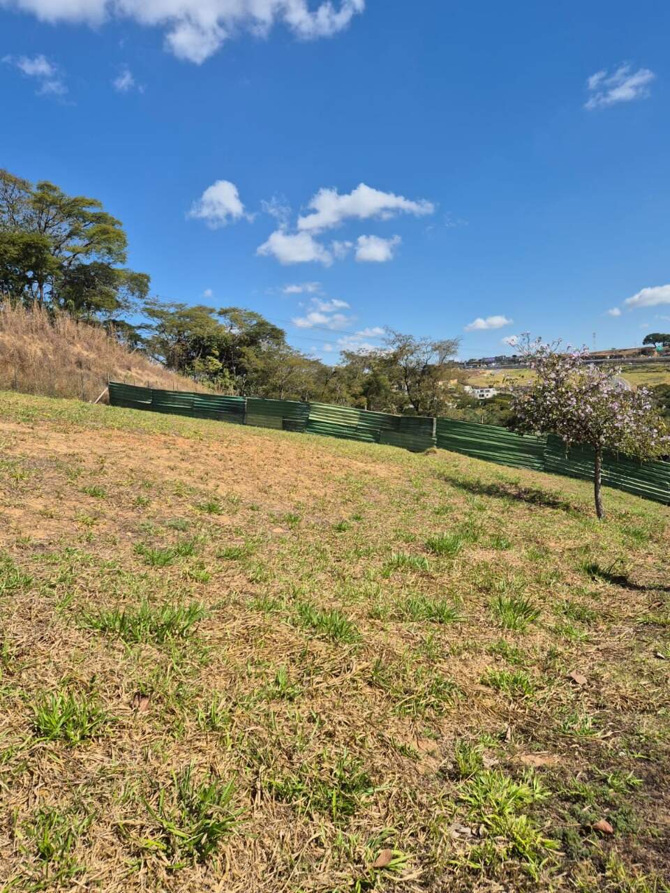 Terreno, 562 m² - Foto 6