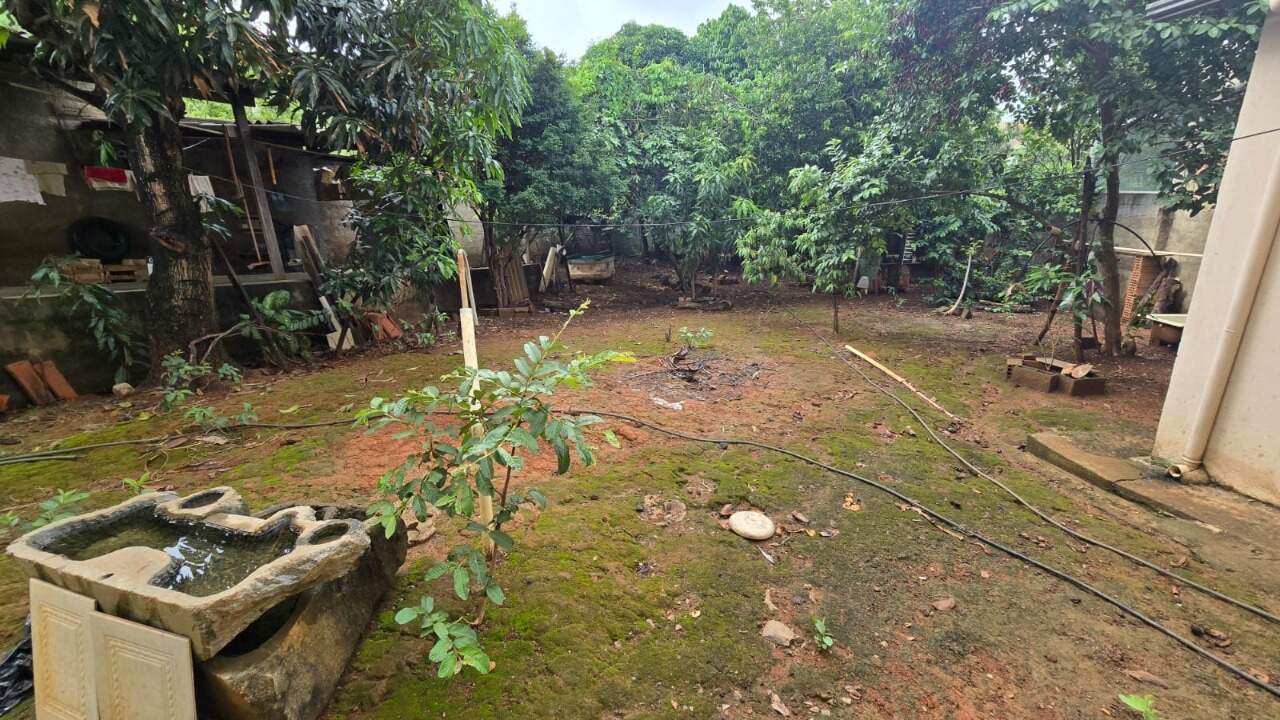 Casa, 5 quartos, 405 m² - Foto 6