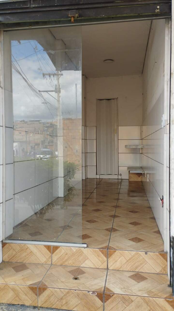 Casa, 7 quartos, 410 m² - Foto 15