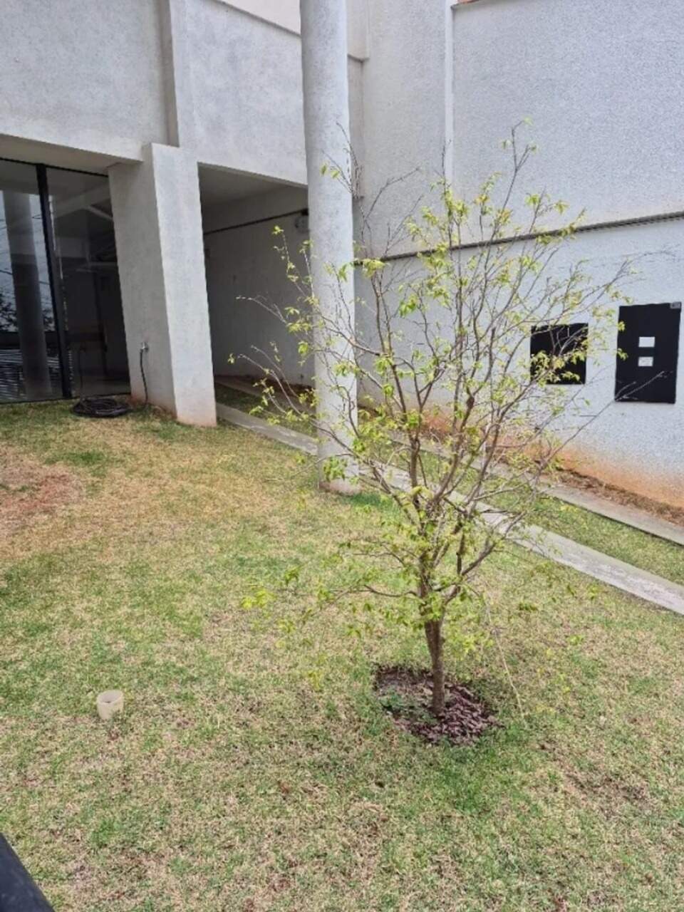 Apartamento, 2 quartos, 180 m² - Foto 14