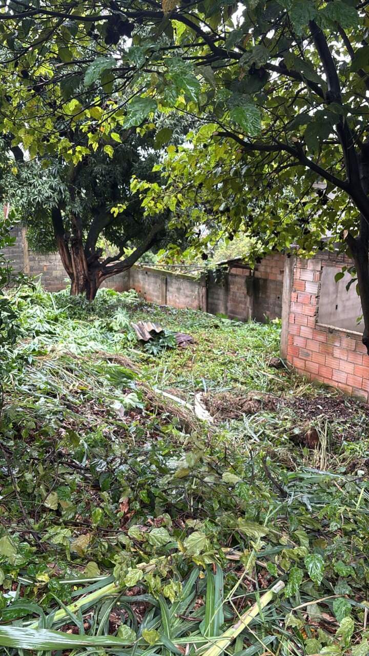 Terreno, 360 m² - Foto 6