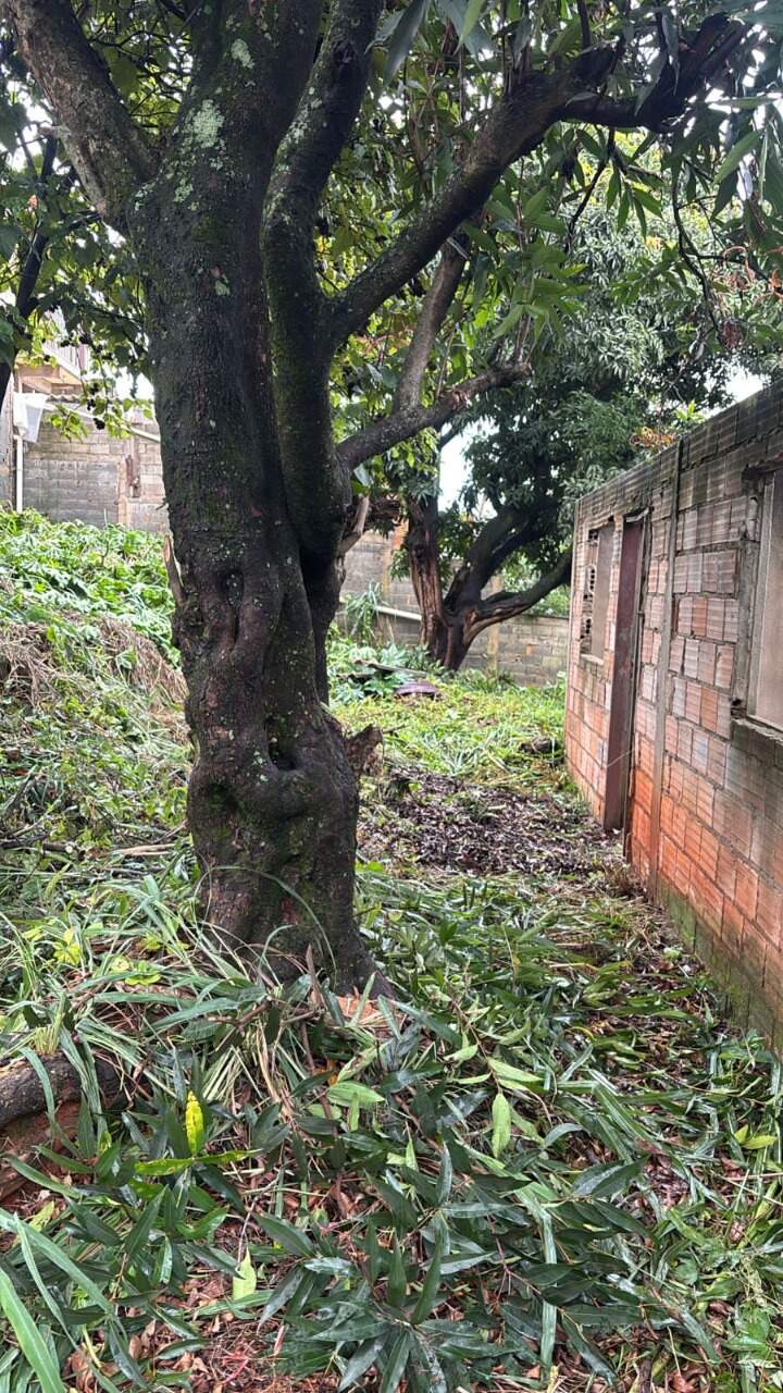 Terreno, 360 m² - Foto 7