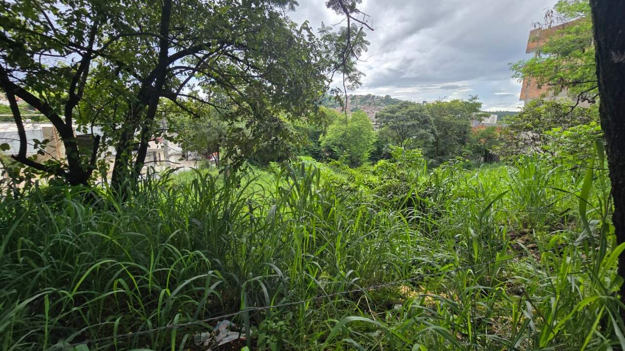 Terreno, 1262 m² - Foto 13