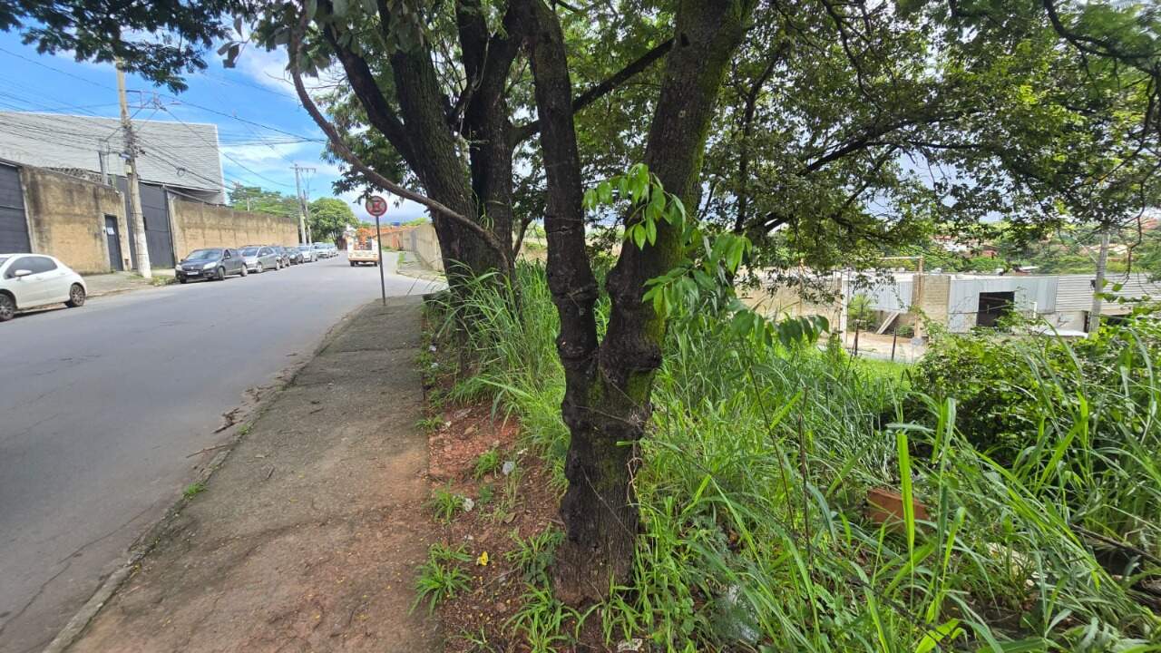 Terreno, 1262 m² - Foto 3