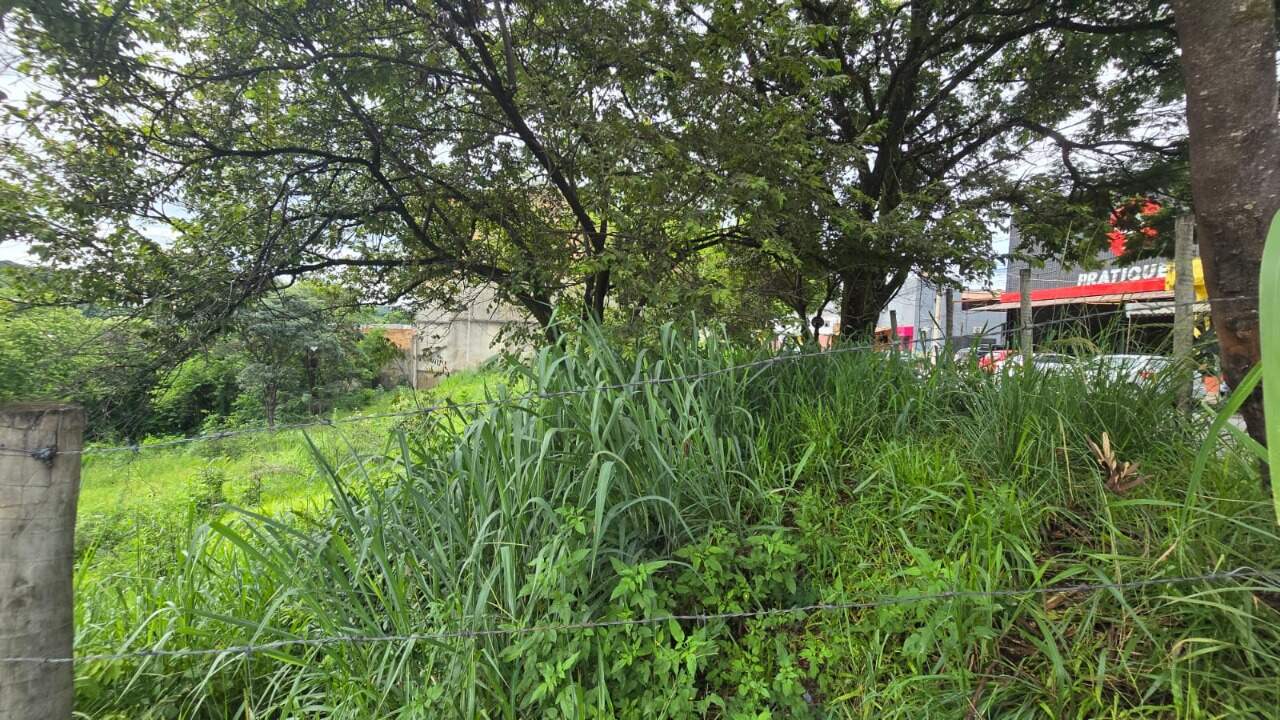 Terreno, 1262 m² - Foto 5