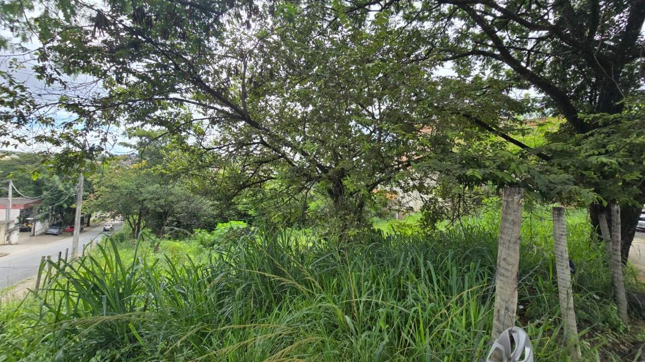 Terreno, 1262 m² - Foto 6