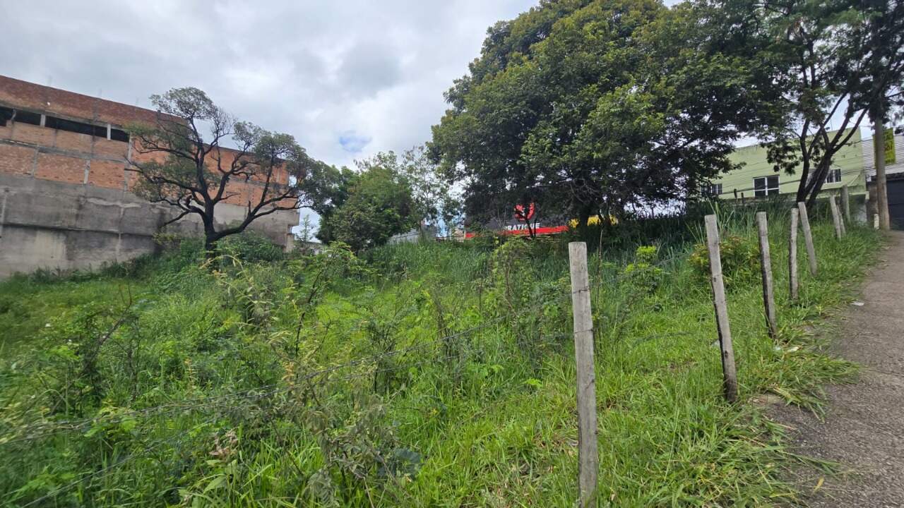 Terreno, 1262 m² - Foto 8