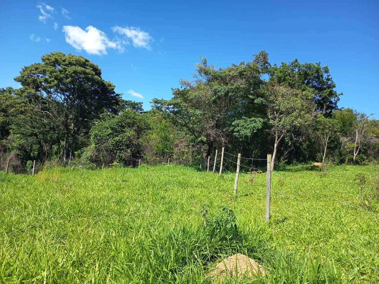 Terreno, 372 m² - Foto 11