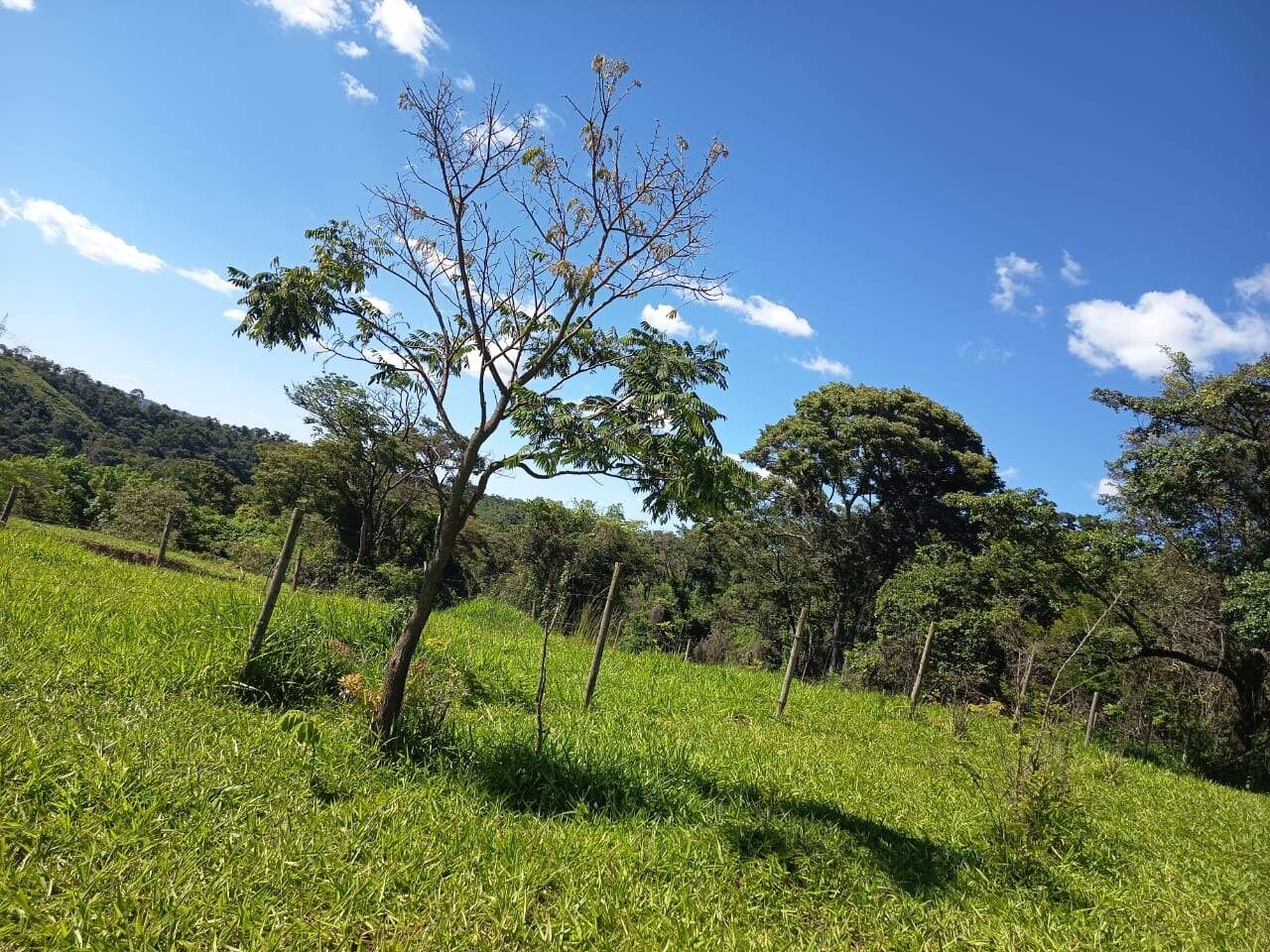 Terreno, 372 m² - Foto 18
