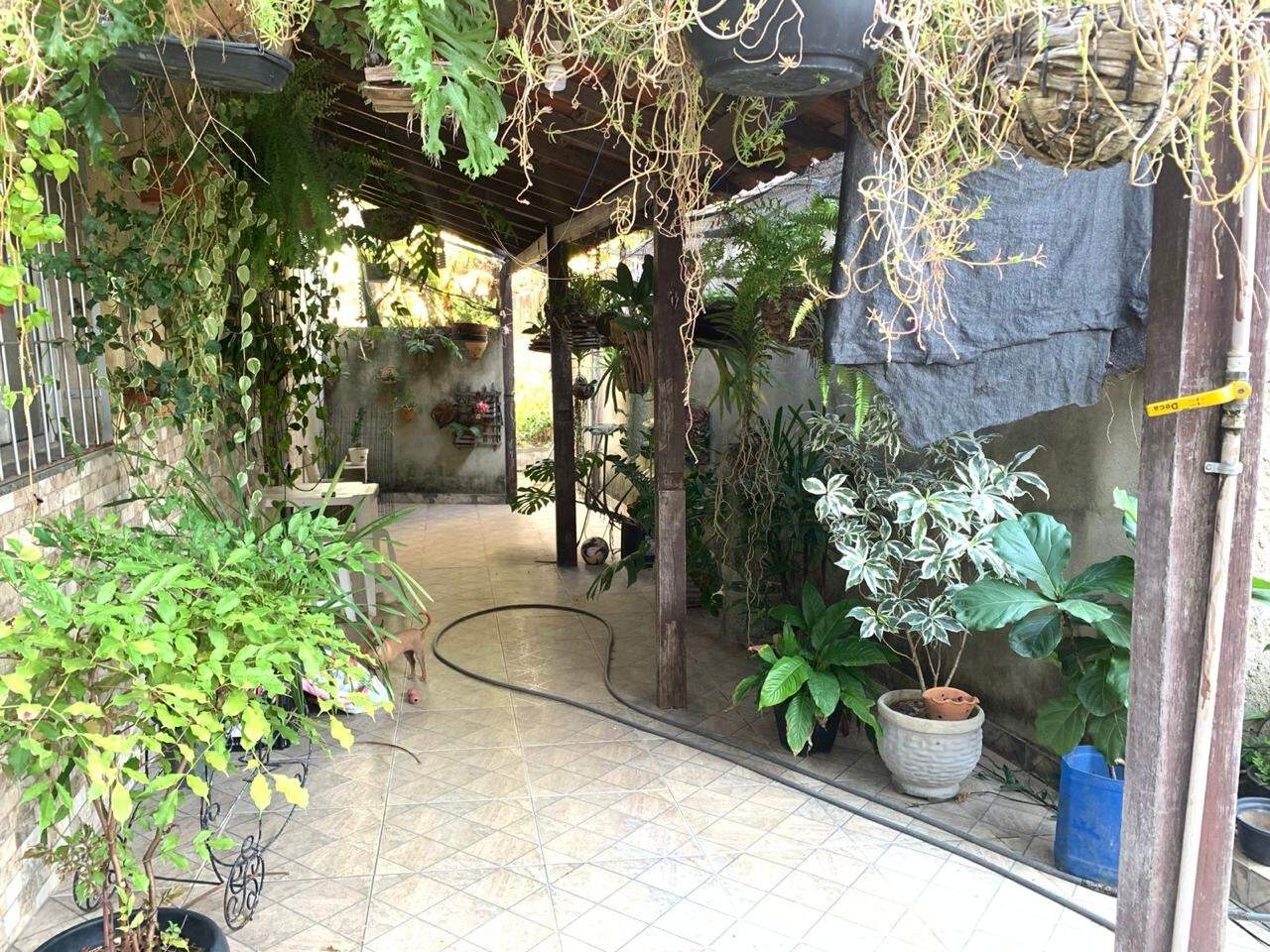 Casa, 2 quartos, 500 m² - Foto 6