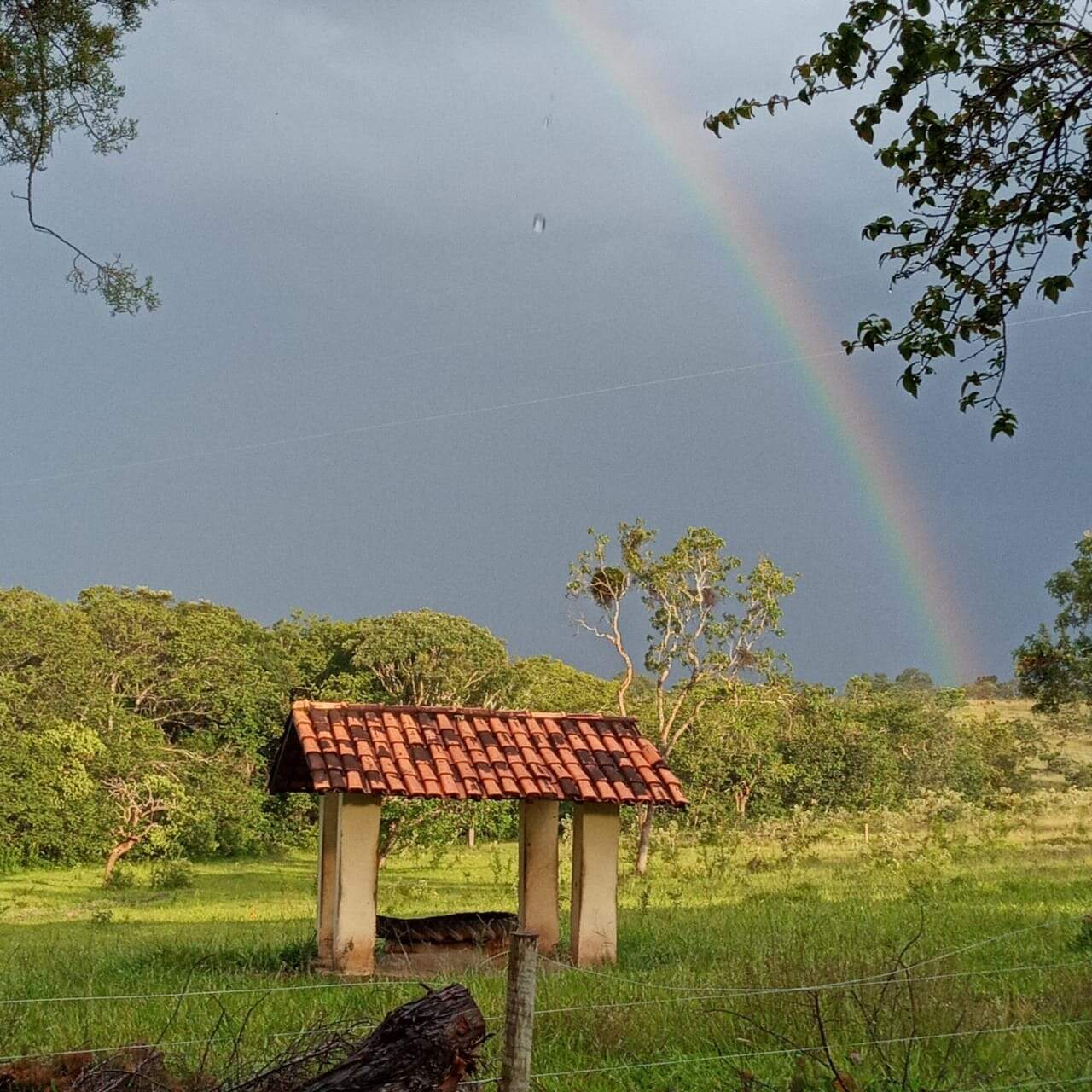 Sítio, 3 quartos, 5 hectares - Foto 1