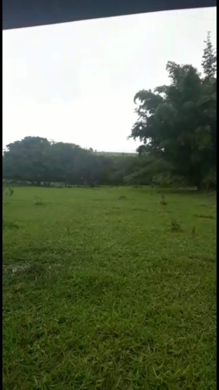 Sítio, 3 quartos, 5 hectares - Foto 11