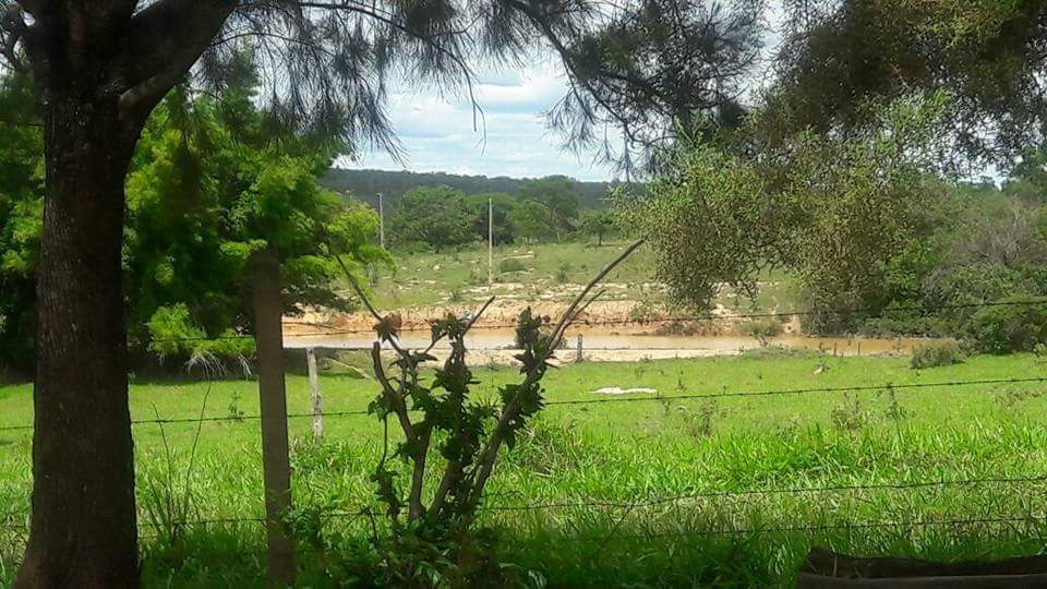 Sítio, 3 quartos, 5 hectares - Foto 14