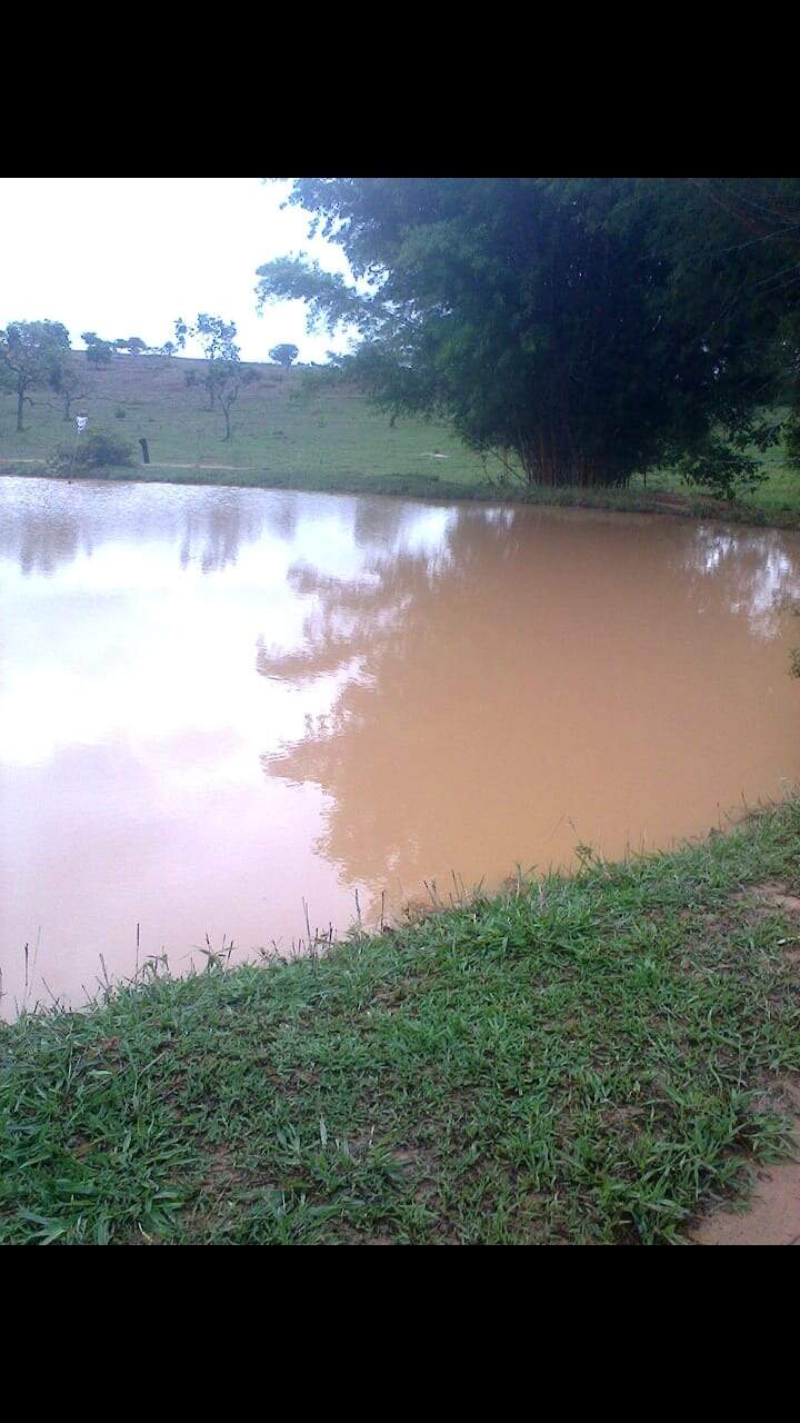 Sítio, 3 quartos, 5 hectares - Foto 15