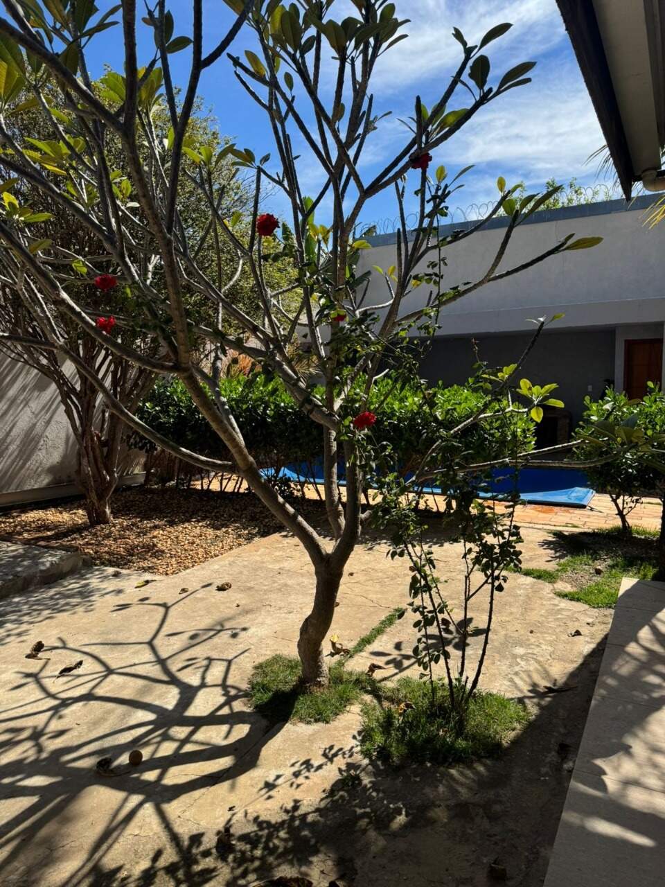 Casa, 4 quartos, 195 m² - Foto 19