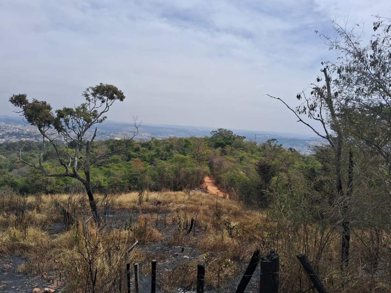 Terreno, 436 m² - Foto 8