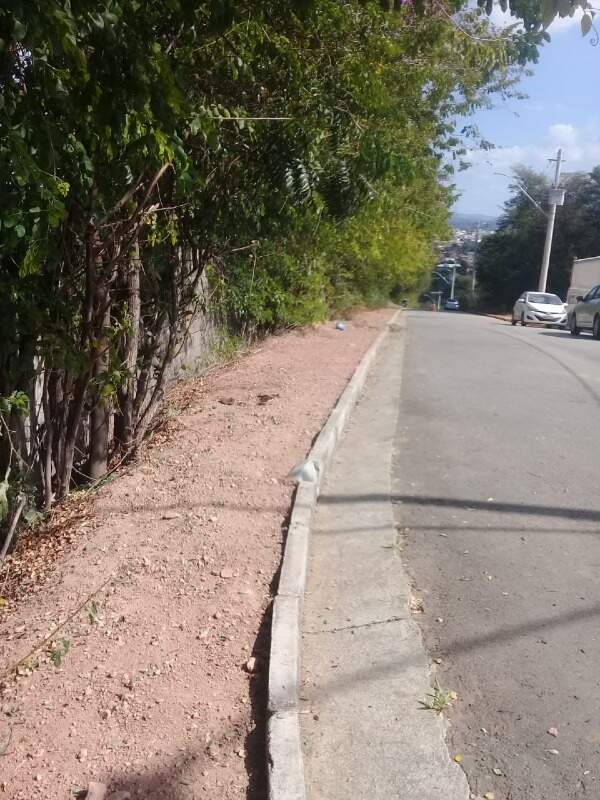 Terreno, 436 m² - Foto 10