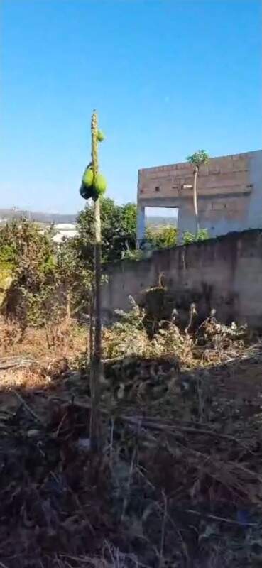 Terreno, 360 m² - Foto 10