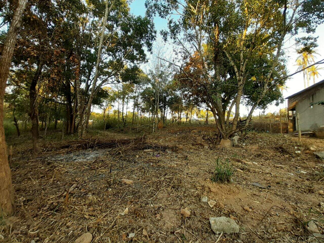 Terreno, 1000 m² - Foto 2